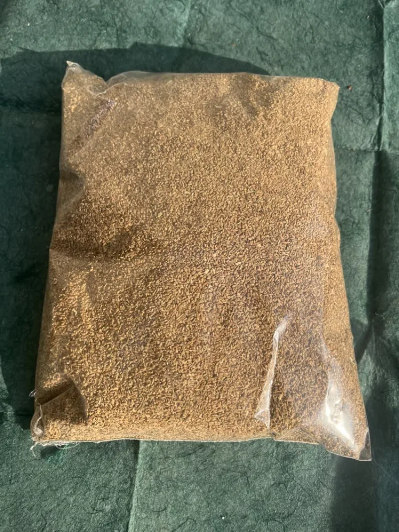 Carom Seeds (अजवाइन / Ajwain) PREMIUM - main product image