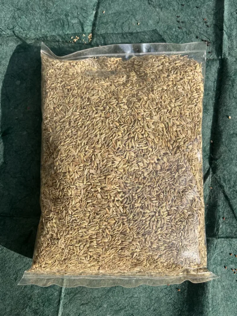 Fennel Seeds (सौंफ़ / Saunf) - main product image