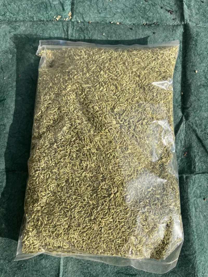 Sweet Fennel Seeds (सौंफ़ / Saunf) - main product image