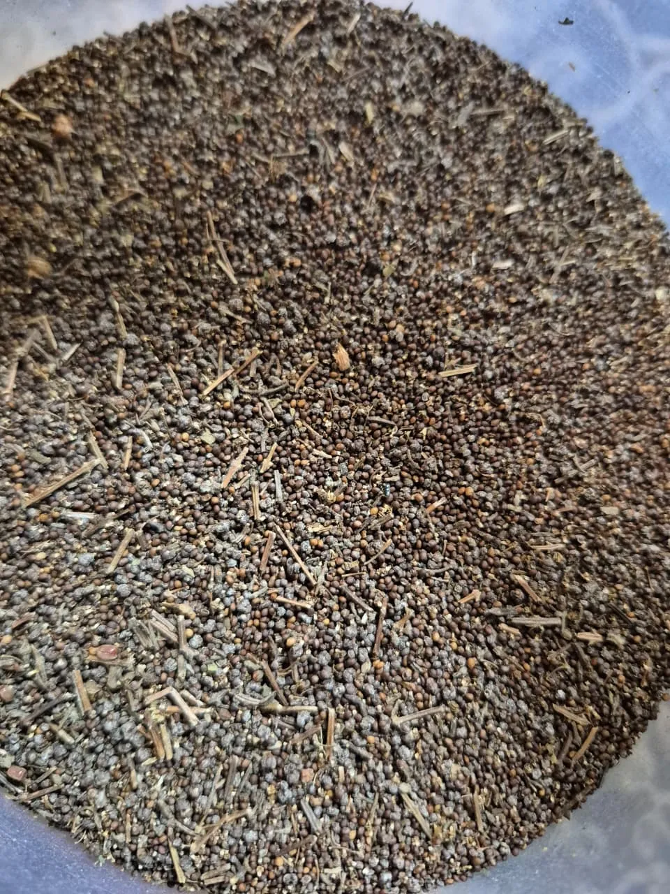 Tulasi Seeds - main product image