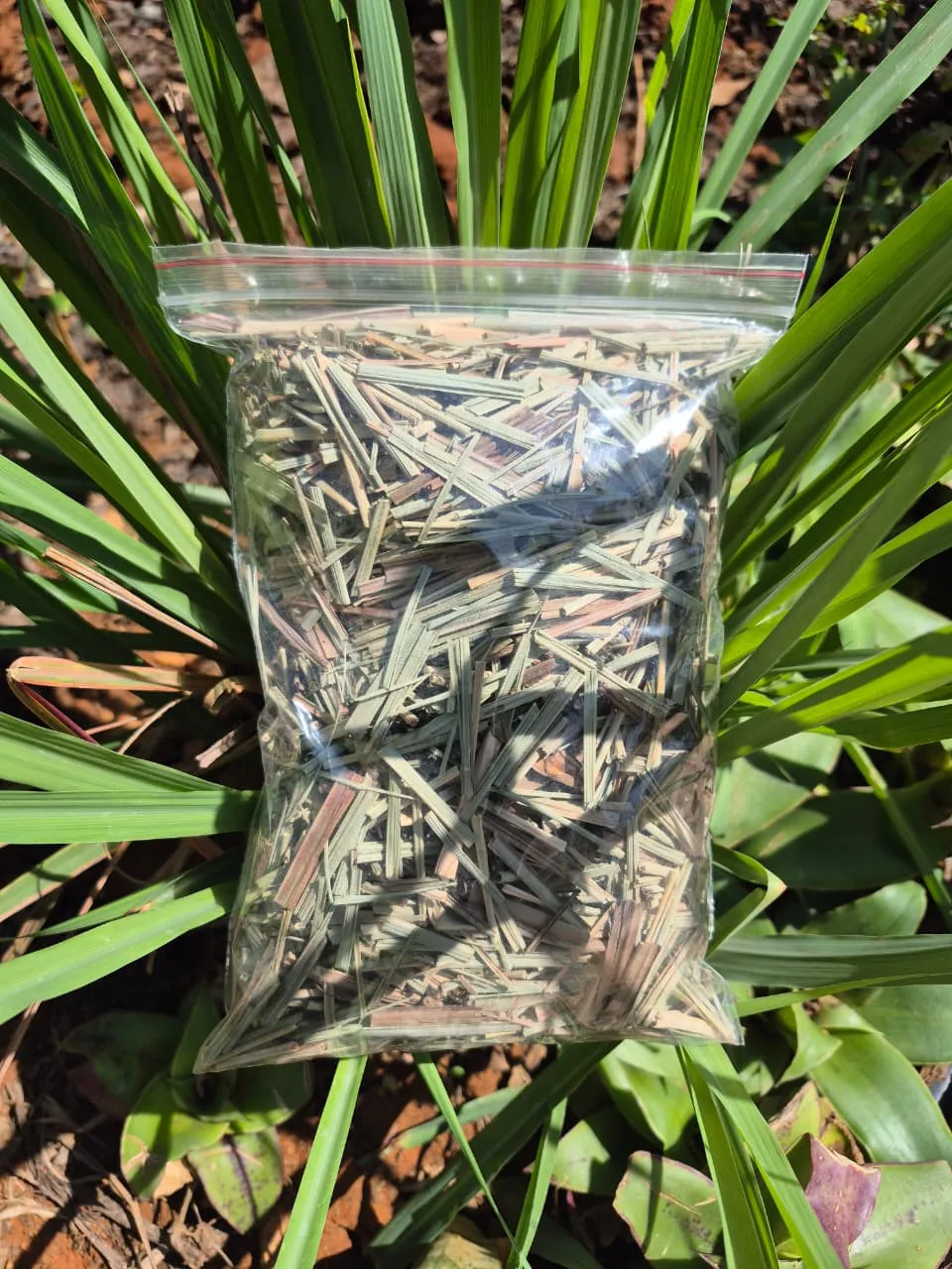 Sun-Dried Lemon Grass - main product image